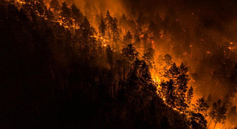 Már egy görögországnyi erdő égett le Szibériában