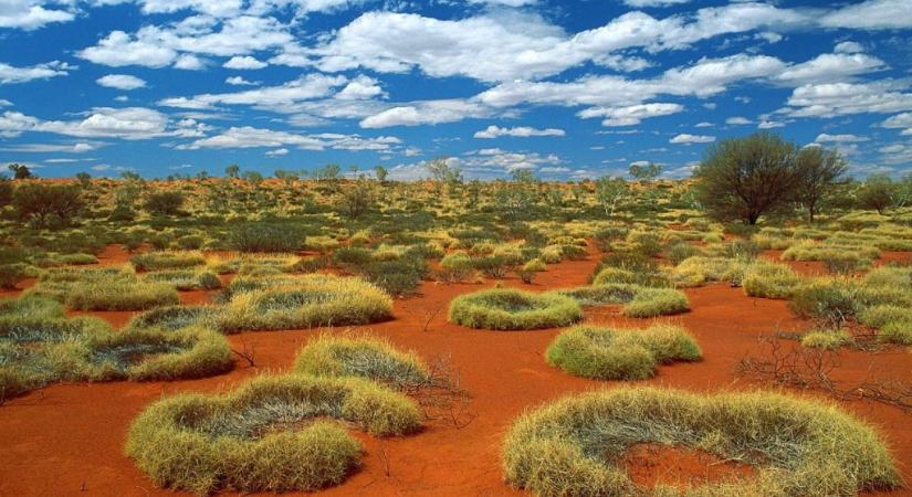 Hogyan keletkeznek az ausztrál tündérkörök?