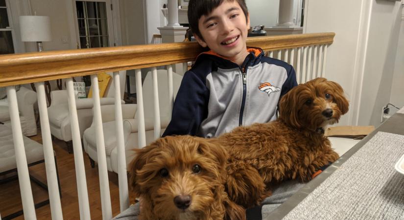 Több mint 1600 idős embernek segített vakcinához jutni a 12 éves New York-i fiú: saját honlapot fejlesztett ki