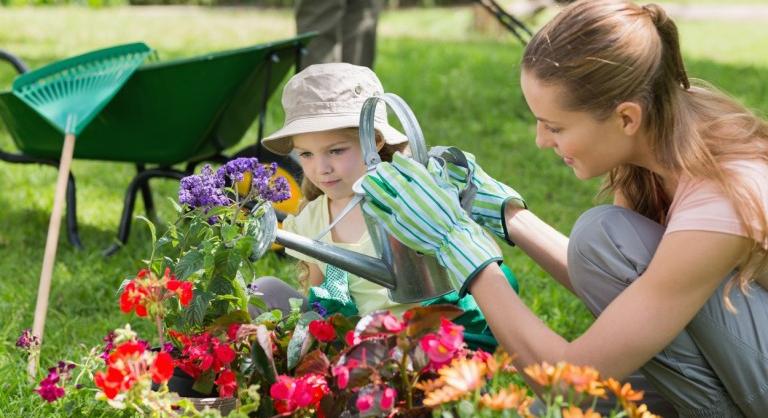 Így locsold a kerted – öntözési praktikák és aranyszabályok