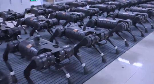 Félelmetes, ahogy egyszerre mozdul meg több tucat kínai robotkutya – videó