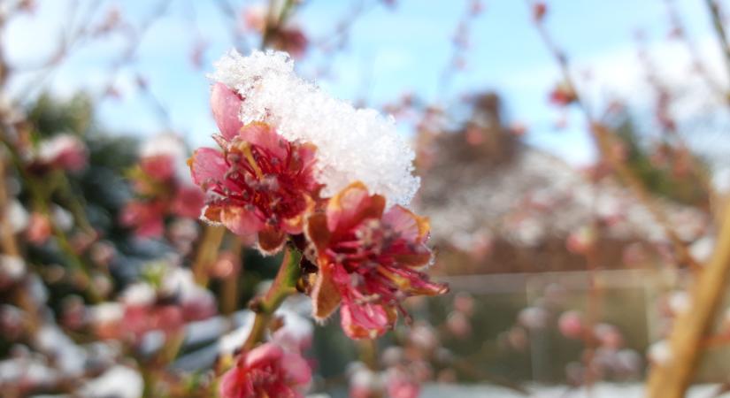 Olvasóinkat ledöbbentette az áprilisi havazás, sokan szomorúak az időjárás miatt