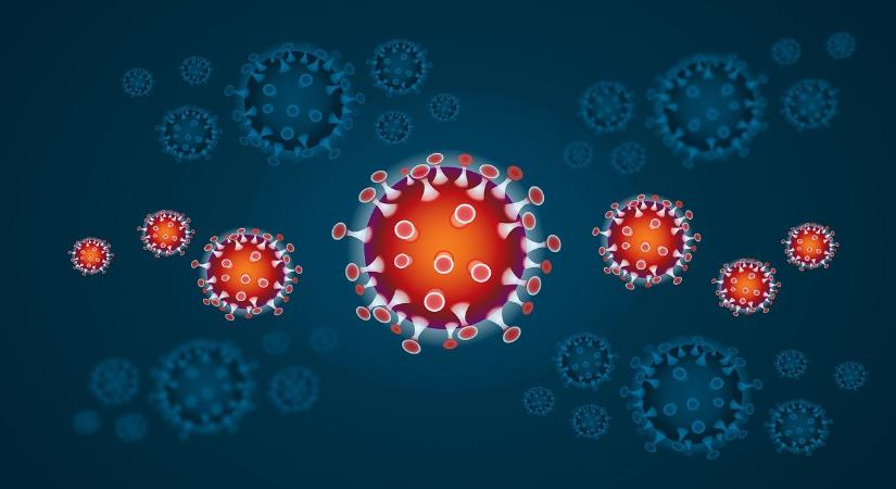 Elhunyt 272 koronavírusos beteg
