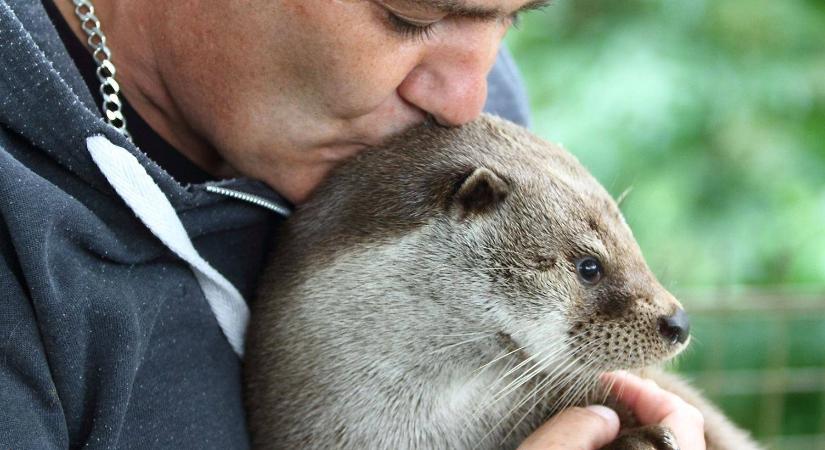 Elhunyt a Petesmalmi Vidrapark mentős önkéntese