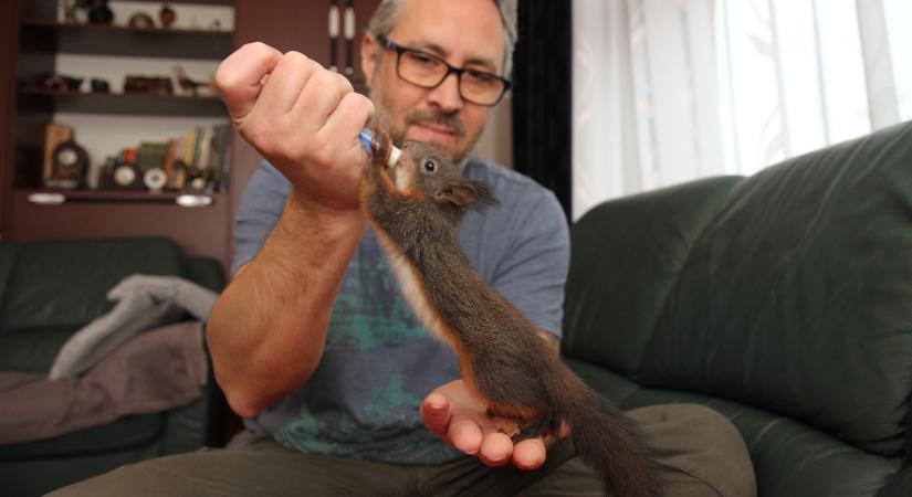 Tíz kicsi mentett mókus Mályiban