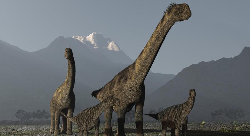 Gyomorkövek mutatják a dinoszauruszok hosszú vándorútját