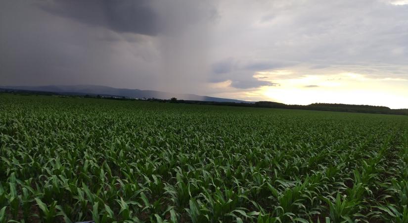 Ezek a gazdák nem hagyják magukat – megkérdeztük, hogyan alkalmazkodnak az őrült időjáráshoz