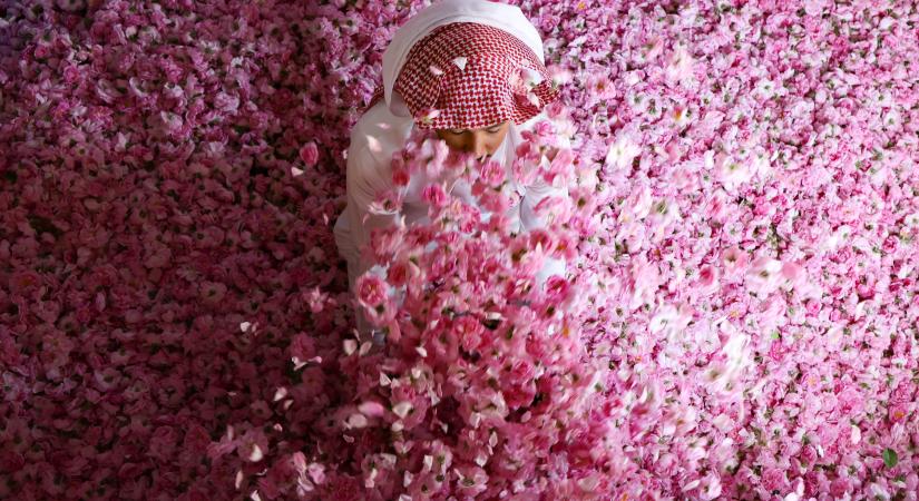 Elvarázsol a Szaúd-Arábia rózsaváros látványa - képek