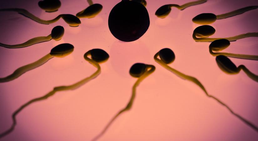 Spermahiány lépett fel, mivel egyre kevesebb az adakozni vágyó férfi