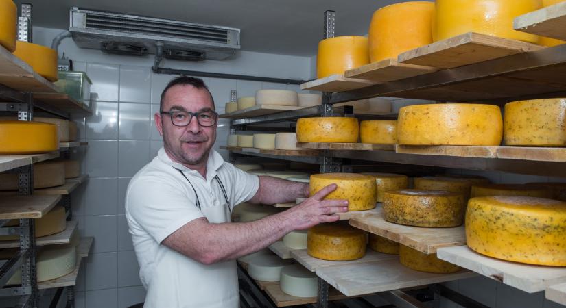 Hazai tejből gyárt mediterrán sajtokat nógrádi manufaktúrájában az egykori séf