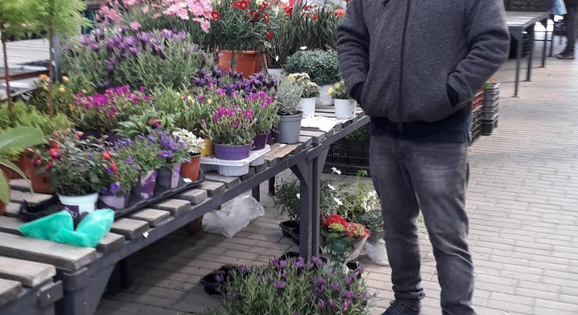 Életre kelt a tamási piac a napsütéses időben