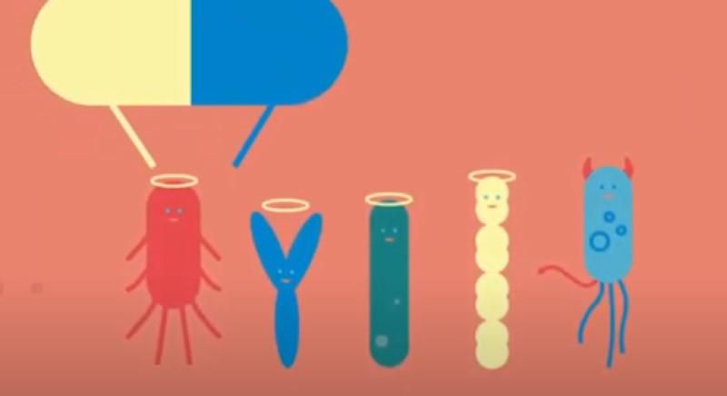 Miért kell vigyázni az antibiotikumokkal? - videó