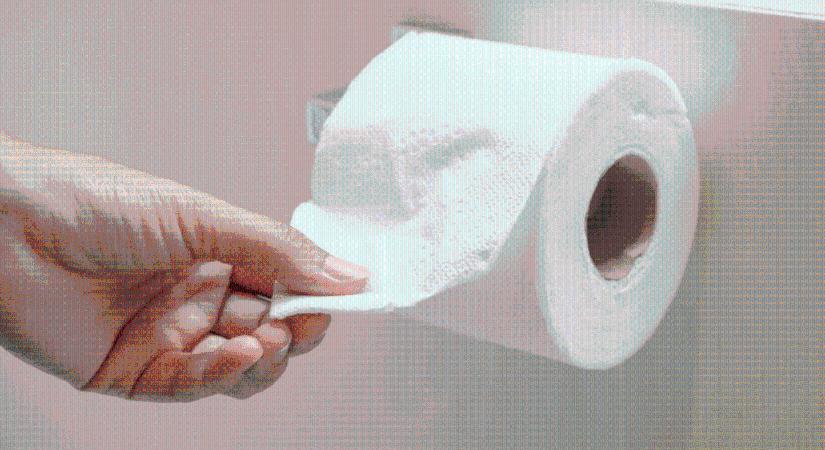 Ezt nem láttuk jönni: WC-papír businessbe fektet be pénzt a Razer