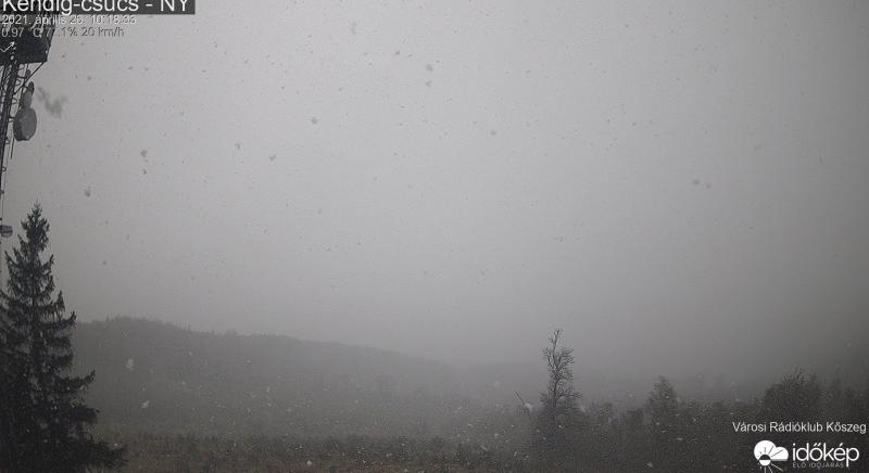 Visszaköszön a tél – Havazik a Bakonyban