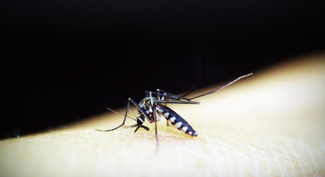 Áttörést jelenthet egy új, malária elleni vakcina