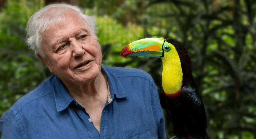 Az élet színei: amit nem látunk, igenis létezhet! – David Attenborough lebontja az emberi mindenhatóság illúzióját