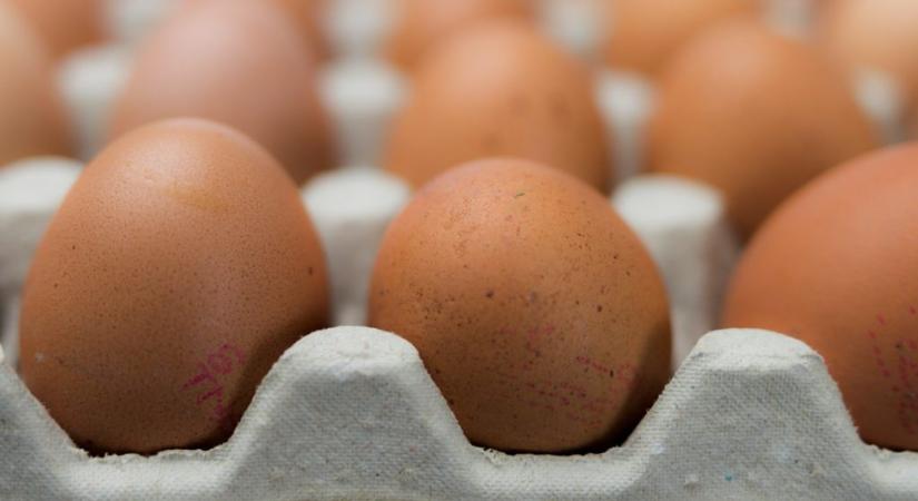 Tarthatatlan a tojás ára, nagy drágulás várható