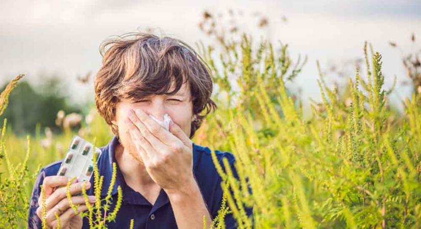 Mit tehetünk a pollenallergia ellen?