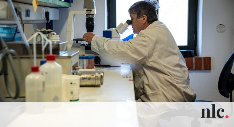 Sziráki tudós találmányával harcol a világ a koronavírusok ellen