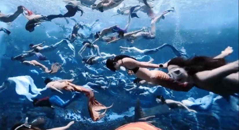Több mint 100 sellő úszott egyszerre, világrekord lett belőle – videó