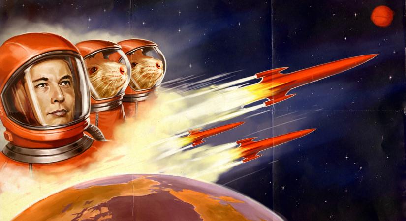 Halálos lesz a küldetés – Musk elismeri, hogy brutális út vár a Mars-utazókra