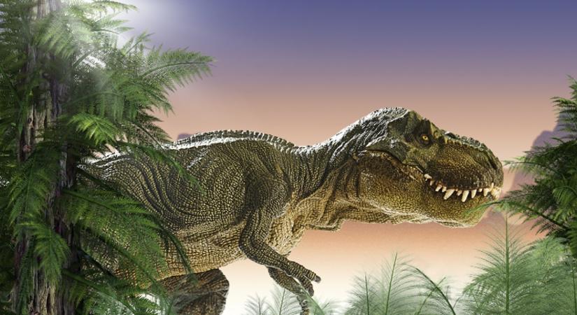 Eddig ismeretlen dinoszauruszfajt azonosítottak Japánban