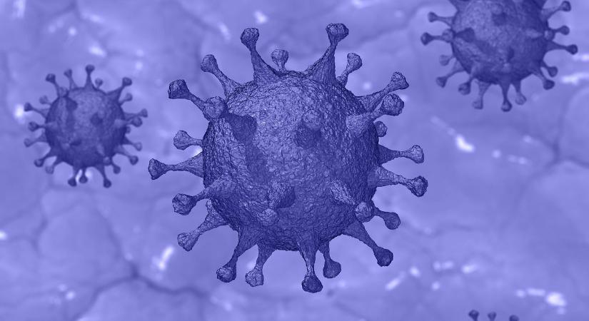 Koronavírus – jelentősen csökkent a halálesetek száma