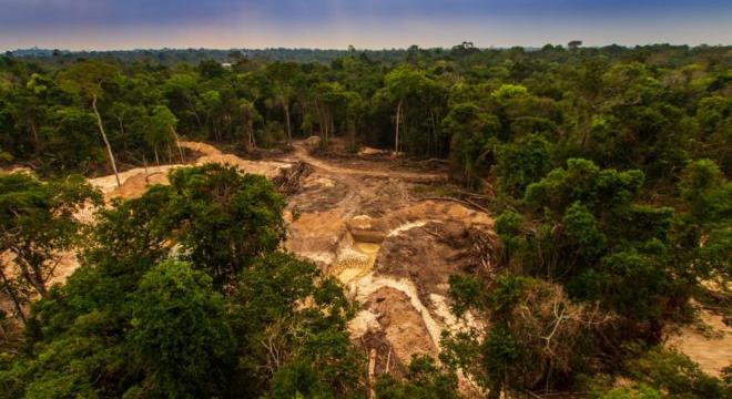 Mesterséges intelligencia az Amazonas védelméért
