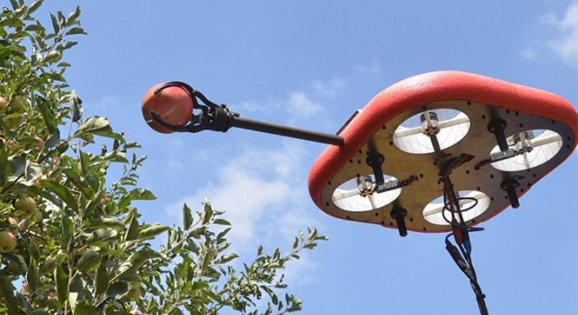 Izraelben drónok helyettesíthetik az emberi munkaerőt a betakarításban