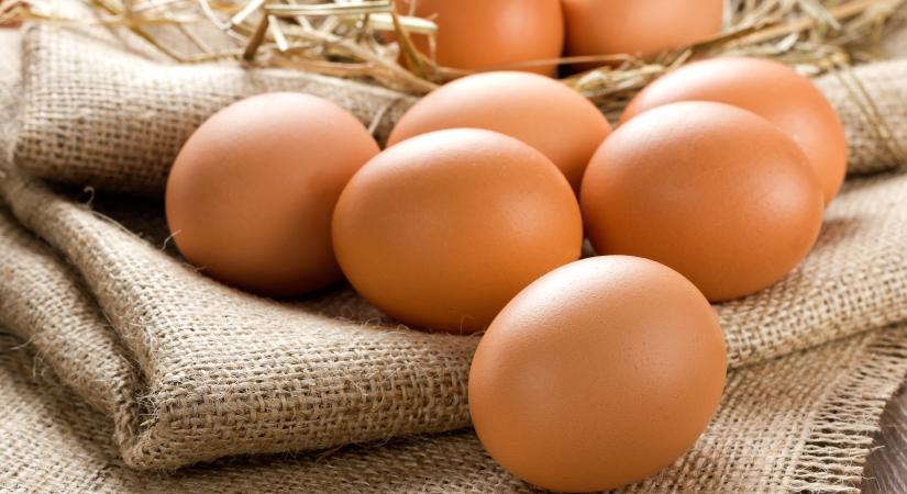 Biztos, hogy eddig te is rosszul tároltad a tojásokat: így kellene