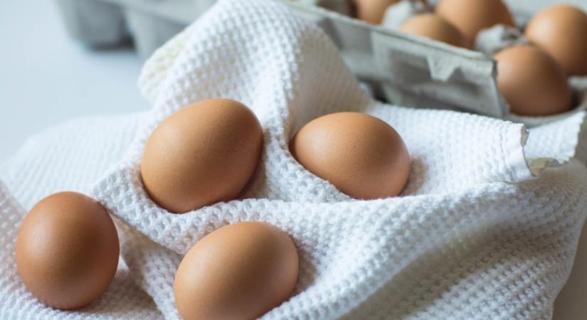 Szalmonella miatt visszahívja tojásait a Lidl és az Auchan beszállítója