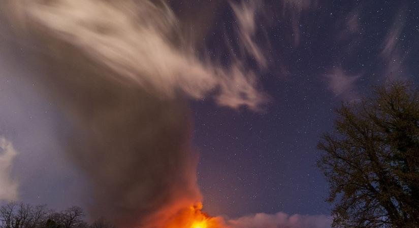 Csodaszép virágmező sarjadt az Etna vulkáni hamujából