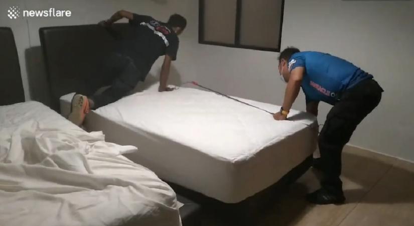 Jézusom: milyen óriási állatot húztak ki a szállodai ágy alól – videó