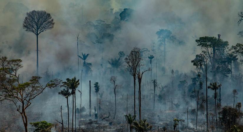 A Föld tüdejéből lassan a Föld tüdőrákjává válik az amazóniai esőerdő