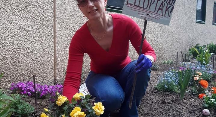 Visszaszerezték a szombathelyi szülésznő kiskertjéből ellopott virágokat