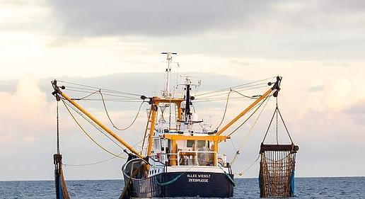 A kínai halászflotta félkatonai szervezetként működik a világ tengerein