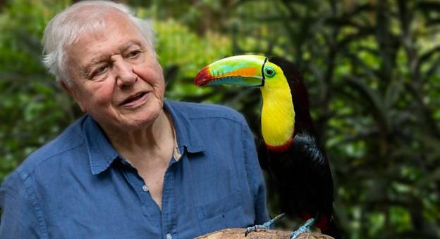 Tudtátok azt, hogy a ma 95 éves Sir David Attenborough?