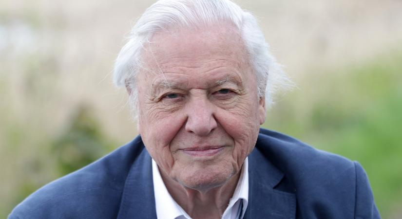 A fogai miatt tévésnek sem javasolták - 10 dolog, amit biztosan nem tudtál a 95 éves David Attenborough-ról