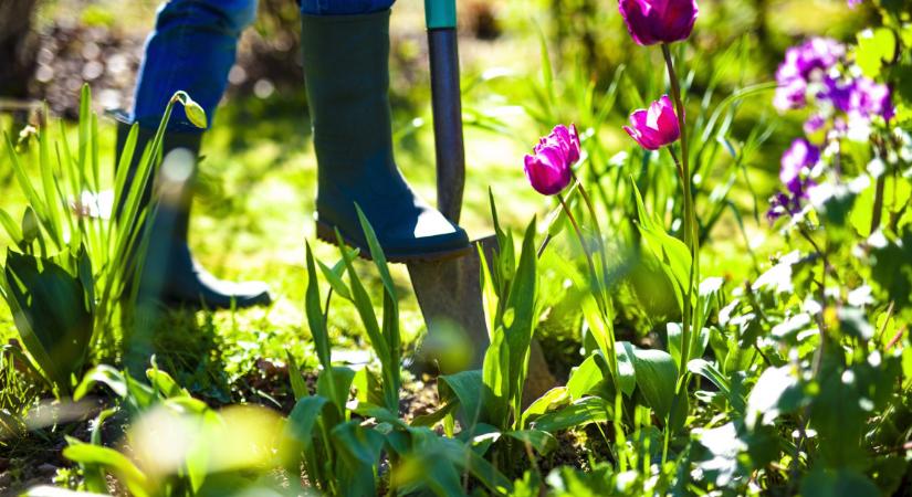Ezek a legfontosabb kerti munkák májusban: itt a 8 pontos feladatlista