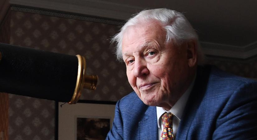 A 95 éves David Attenborough élete 95 másodpercben