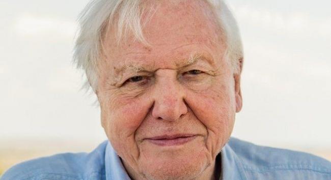 David Attenborough 95. születésnapját ünnepli