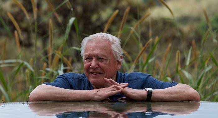 Sir David Attenborough 95 – Egész hétvégén a Spektrumon