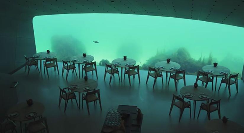 Európa első víz alatti éttermében pincérkedik Botond – “Tudtam, hogy nem egy sokadik pizzériában szeretnék dolgozni”
