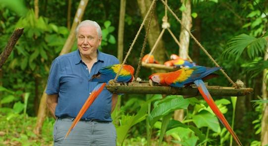 David Attenborough 95 éves korára színesebbnek látja a világot, mint bárki más