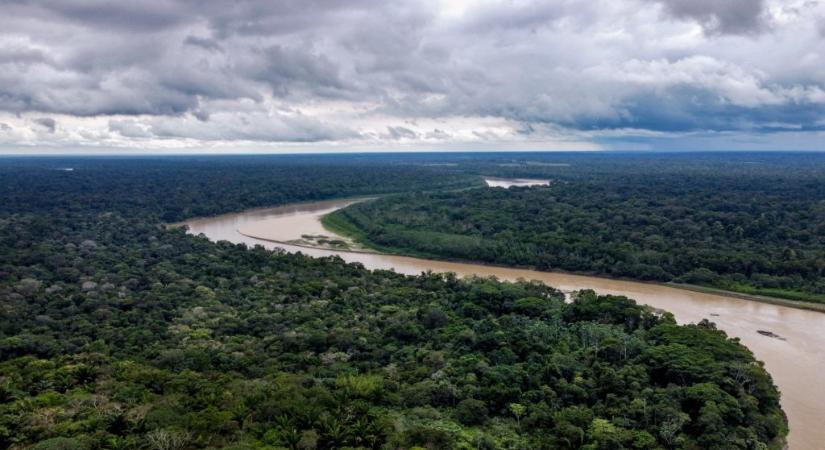 Rekordgyorsasággal pusztítják Amazóniát