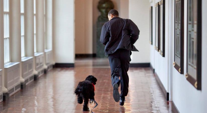 Elpusztult Barack Obama szeretett kutyája