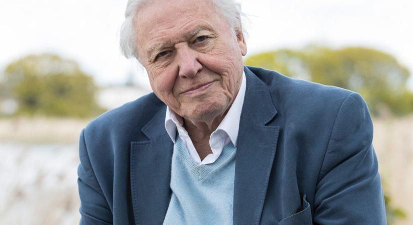 A Föld nevű bolygó krónikása – Sir David Attenborough-portré