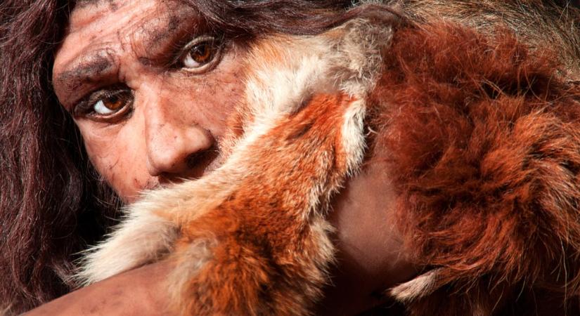 Kilenc neandervölgyi ember maradványát találták meg