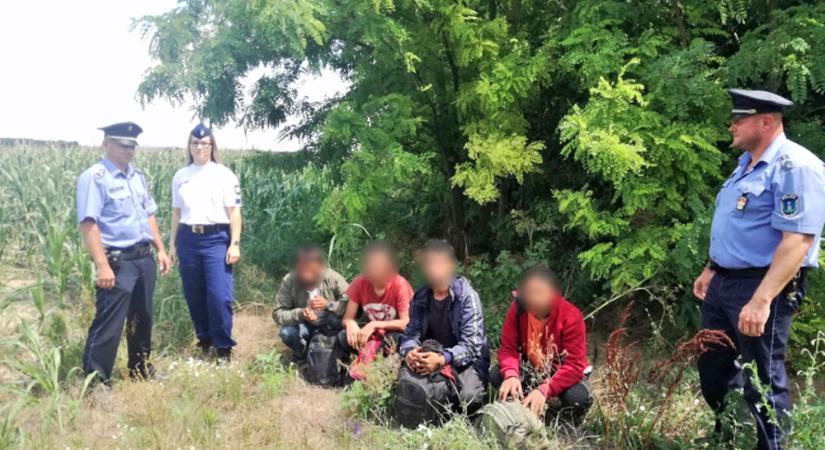 Ivándárdánál kaptak el migránsokat a rendőrök