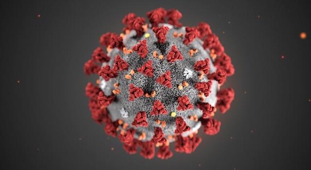 Koronavírus – Újra száz alatt a járvány napi áldozatainak száma